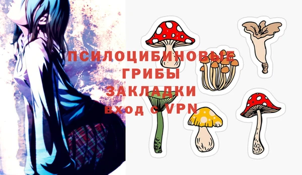 СК Бугульма
