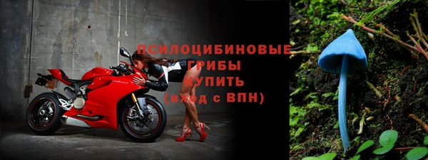 прущие крисы Слюдянка