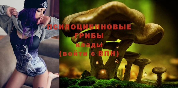 прущий лед Богородицк