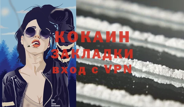 прущие грибы Богородск